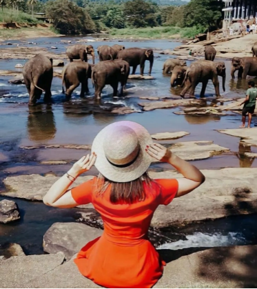 Serendib Journeys  6 days 5 nights